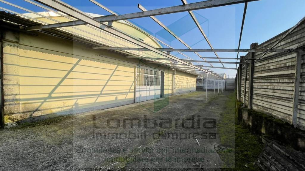 immagine annuncio 13 di 14