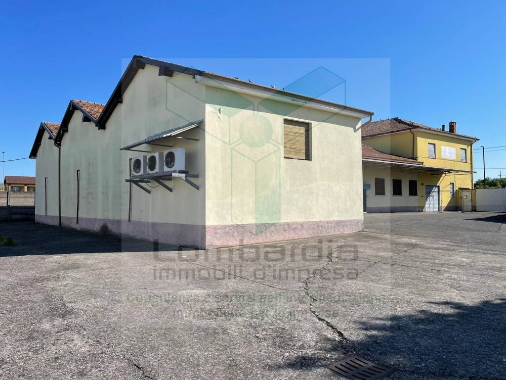 immagine annuncio 9 di 15