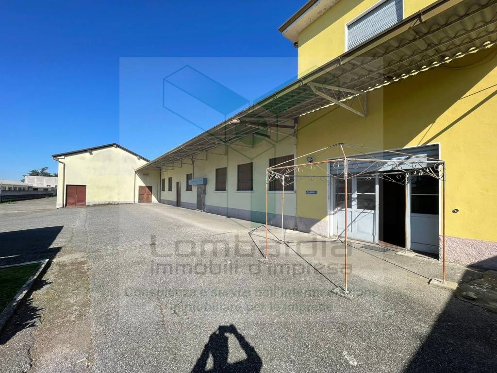 immagine annuncio 11 di 15