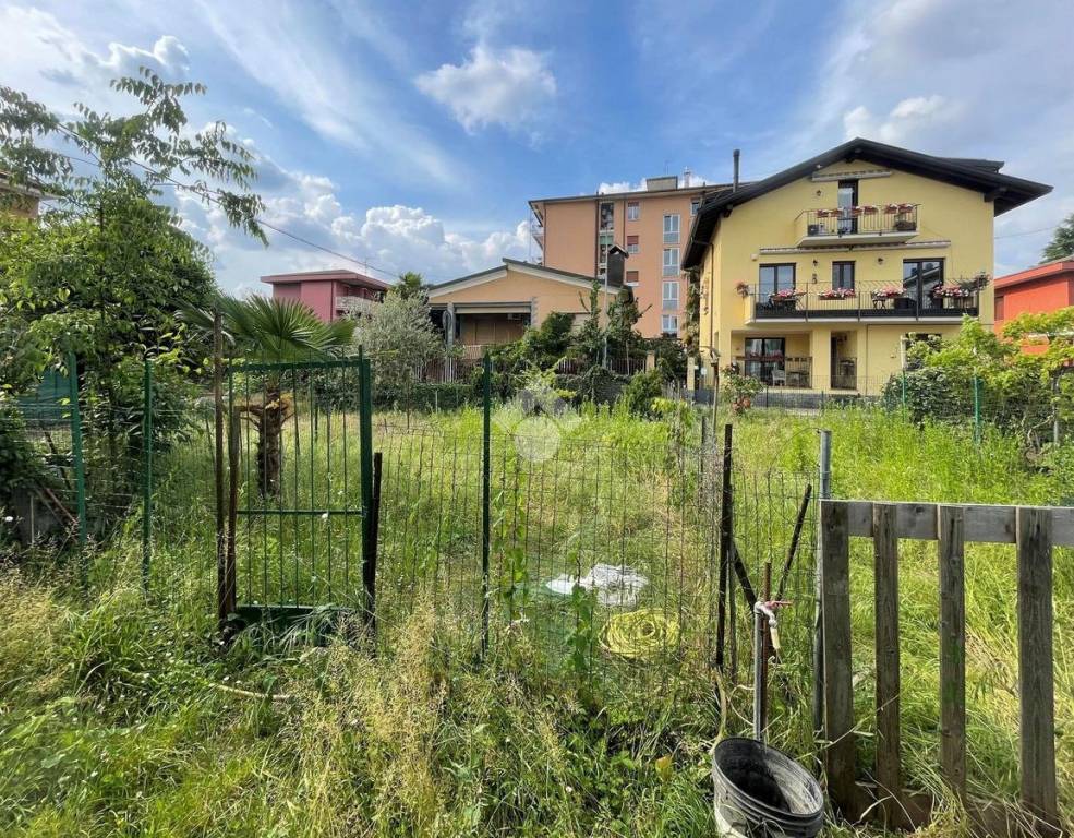 immagine annuncio 4 di 15