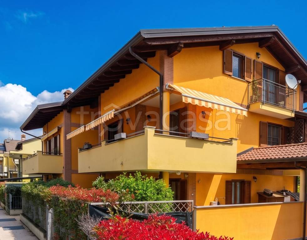 immagine annuncio 1 di 15