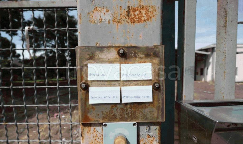 immagine annuncio 13 di 15
