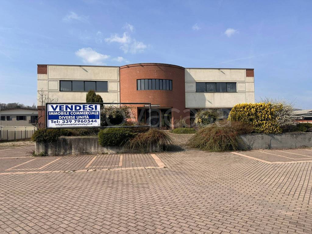immagine annuncio 5 di 15