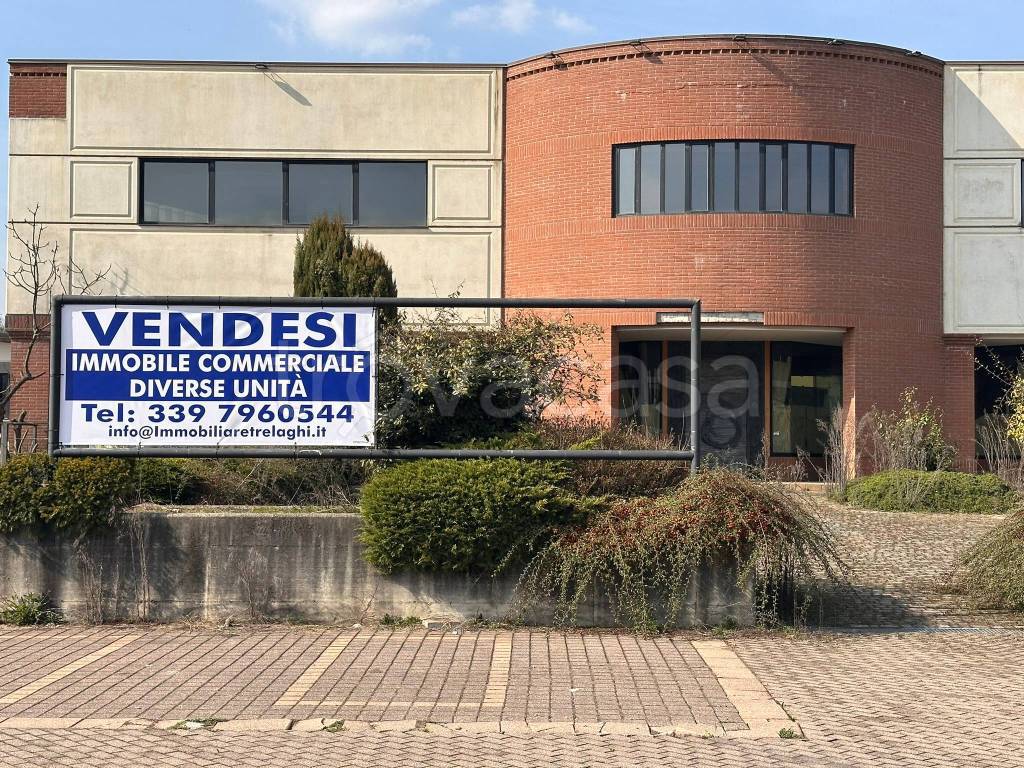 immagine annuncio 6 di 15