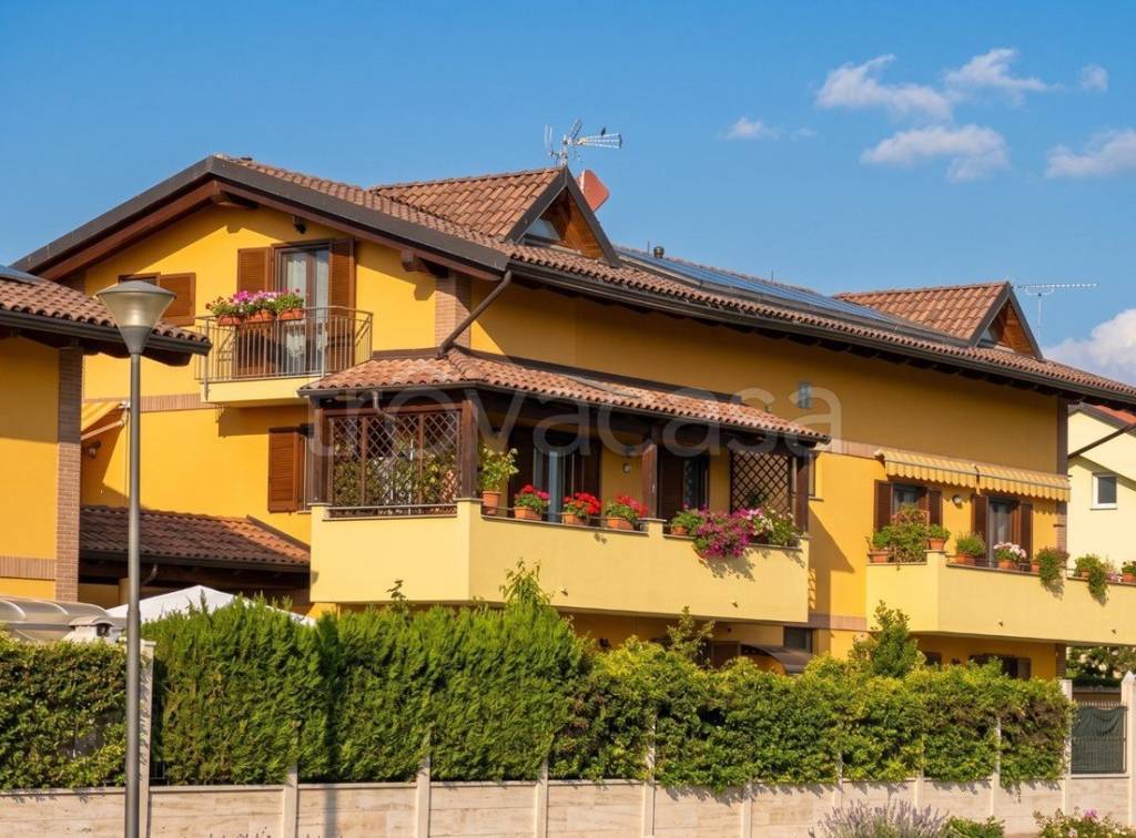 immagine annuncio 9 di 15