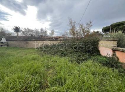immagine annuncio 8 di 14
