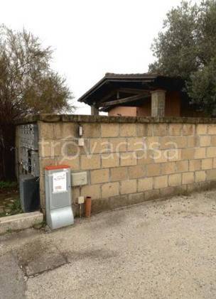 immagine annuncio 11 di 14