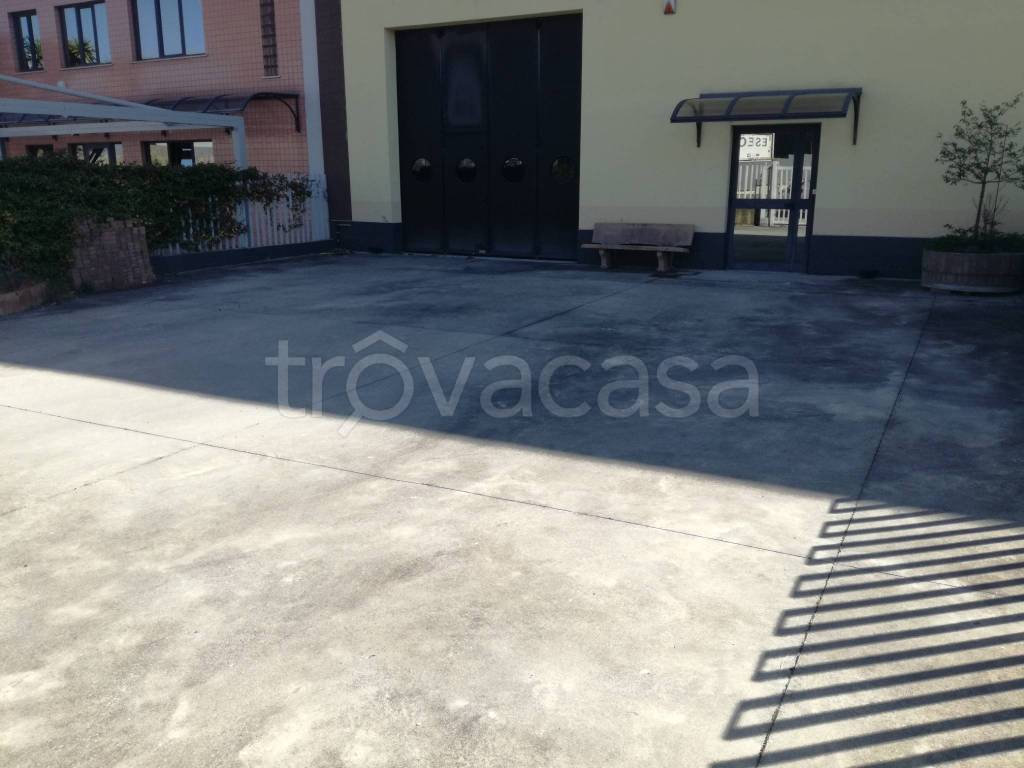 immagine annuncio 2 di 11