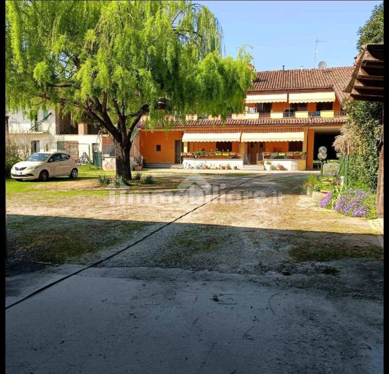 immagine annuncio 1 di 15
