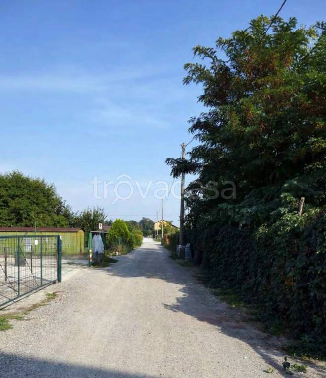 immagine annuncio 4 di 8