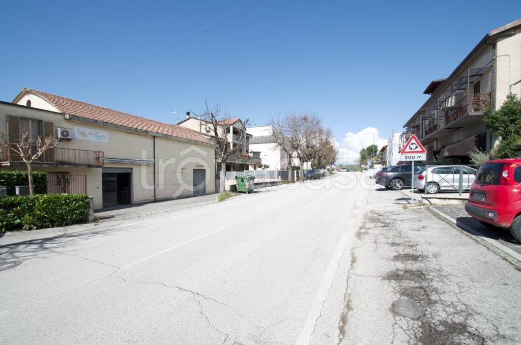 immagine annuncio 3 di 12