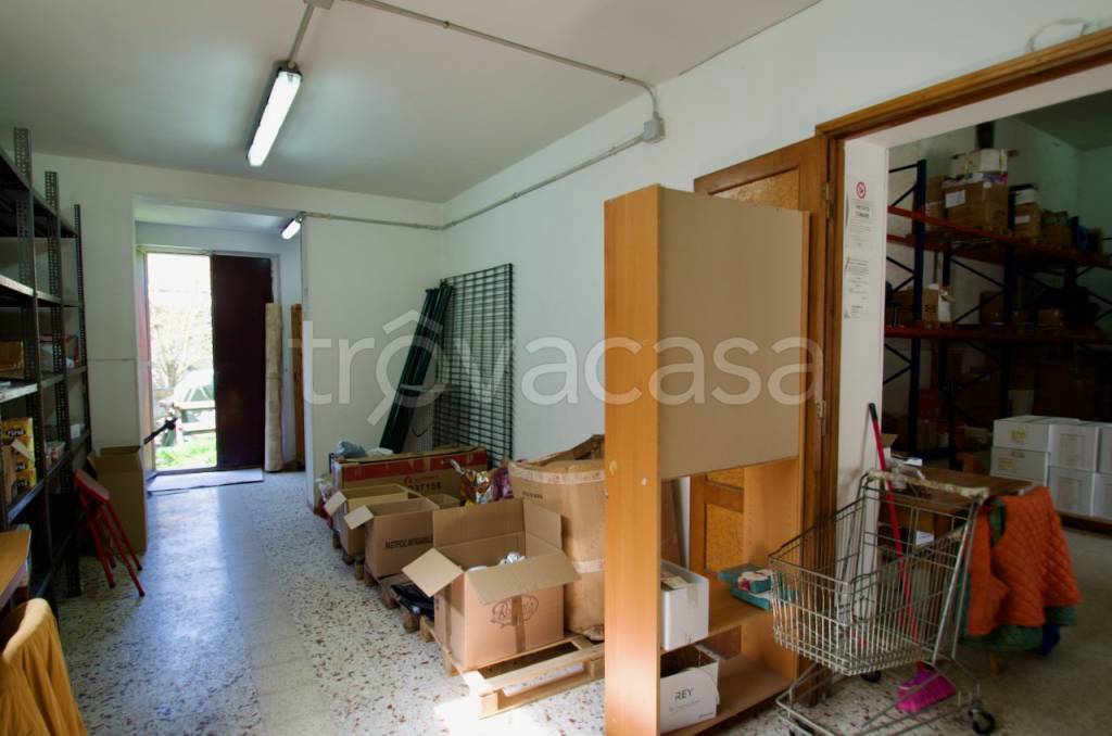 immagine annuncio 6 di 12