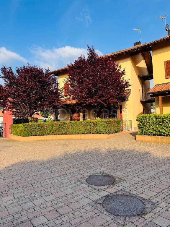 immagine annuncio 3 di 15