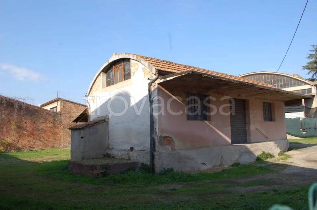 immagine annuncio 5 di 12