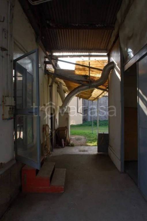 immagine annuncio 8 di 12
