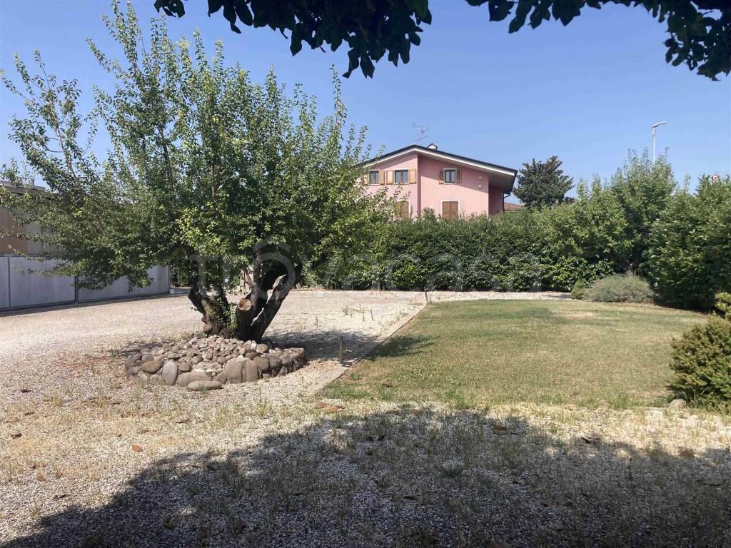 immagine annuncio 6 di 14
