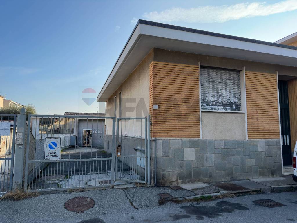 immagine annuncio 1 di 14