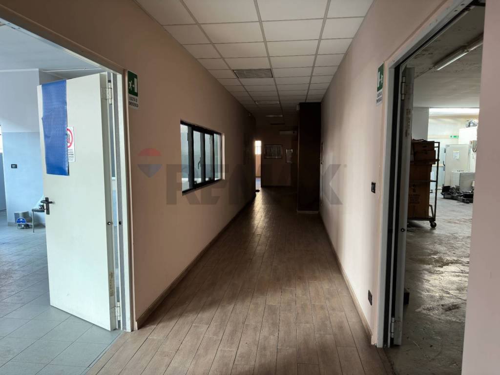 immagine annuncio 7 di 14
