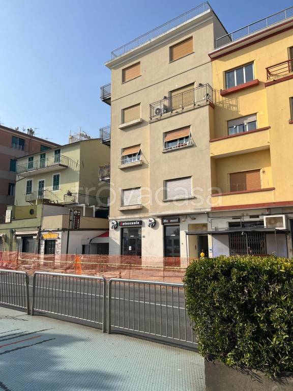 immagine annuncio 4 di 6