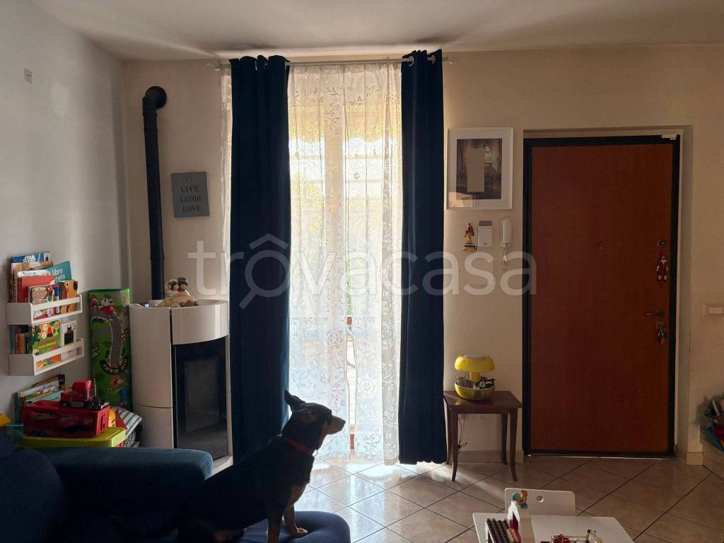 immagine annuncio 13 di 15