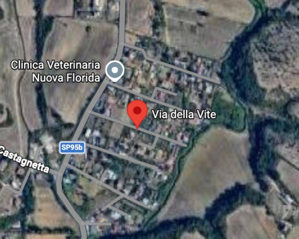 immagine annuncio 8 di 10