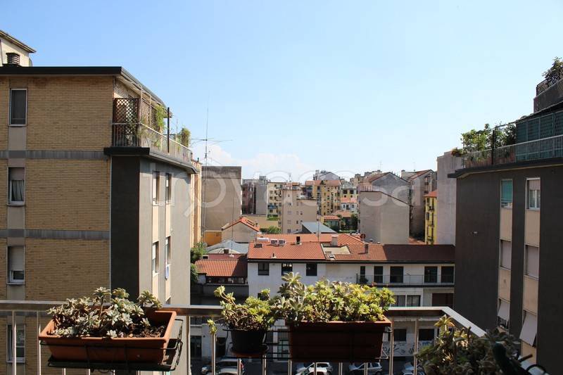 immagine annuncio 10 di 14
