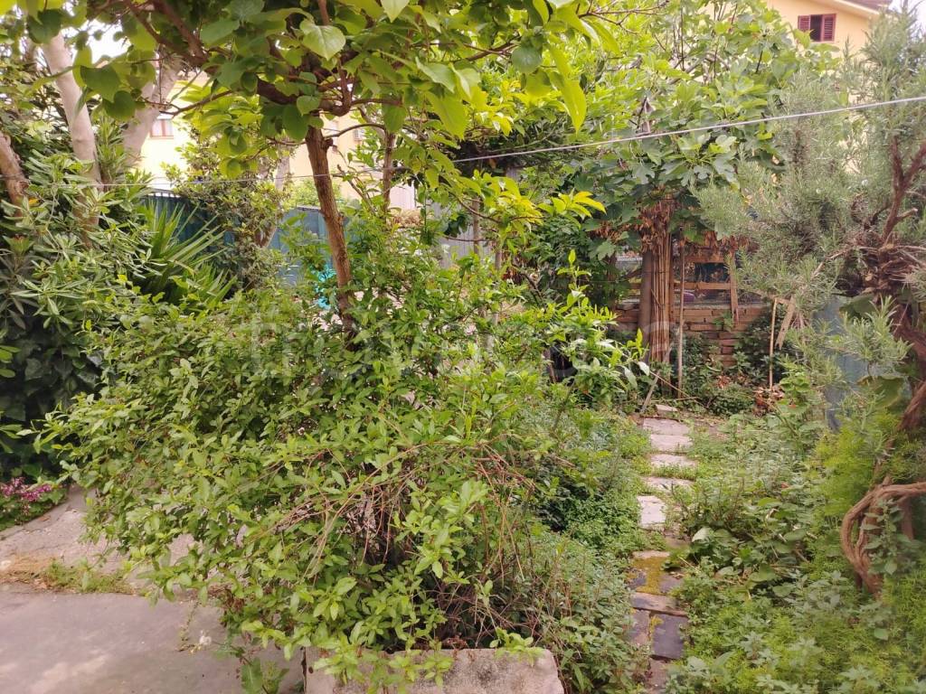 immagine annuncio 7 di 8