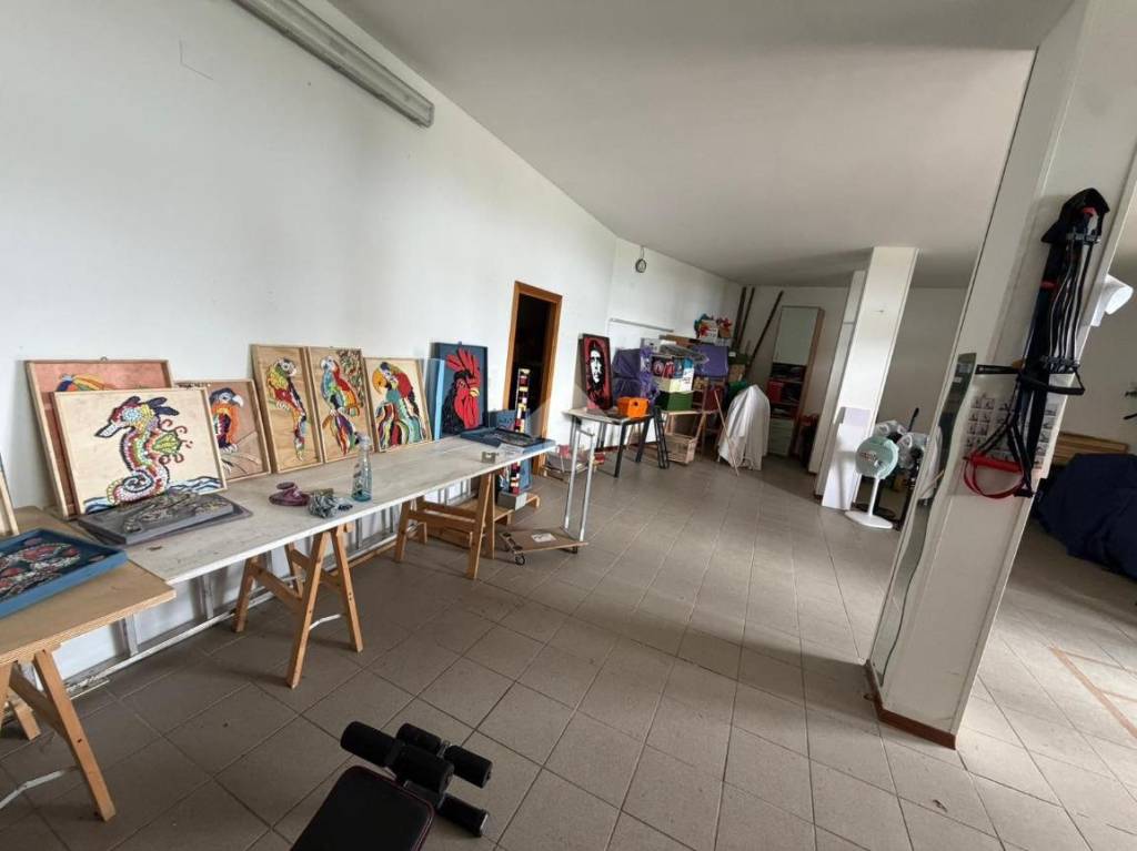 immagine annuncio 11 di 15