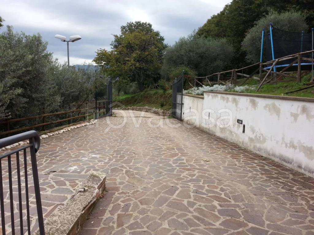 immagine annuncio 3 di 14