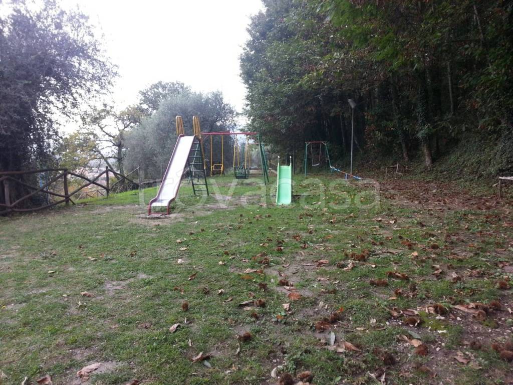 immagine annuncio 6 di 14