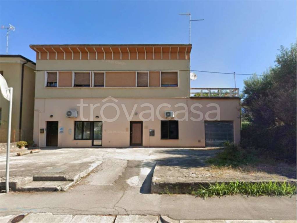 immagine annuncio 11 di 14