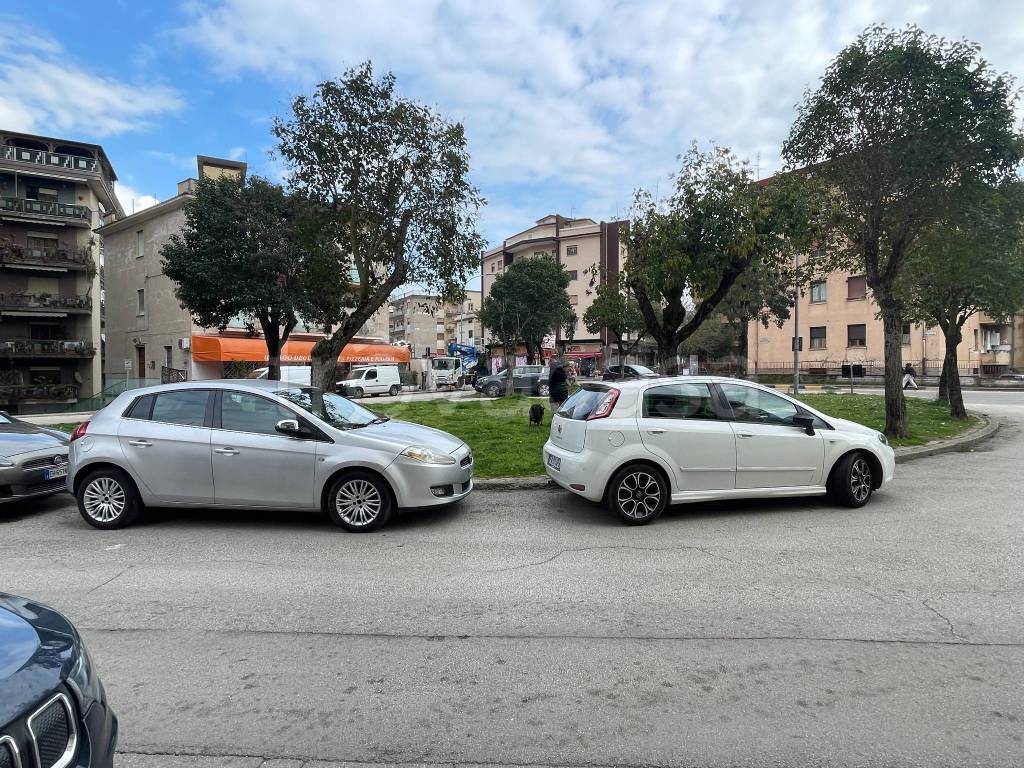 immagine annuncio 7 di 10