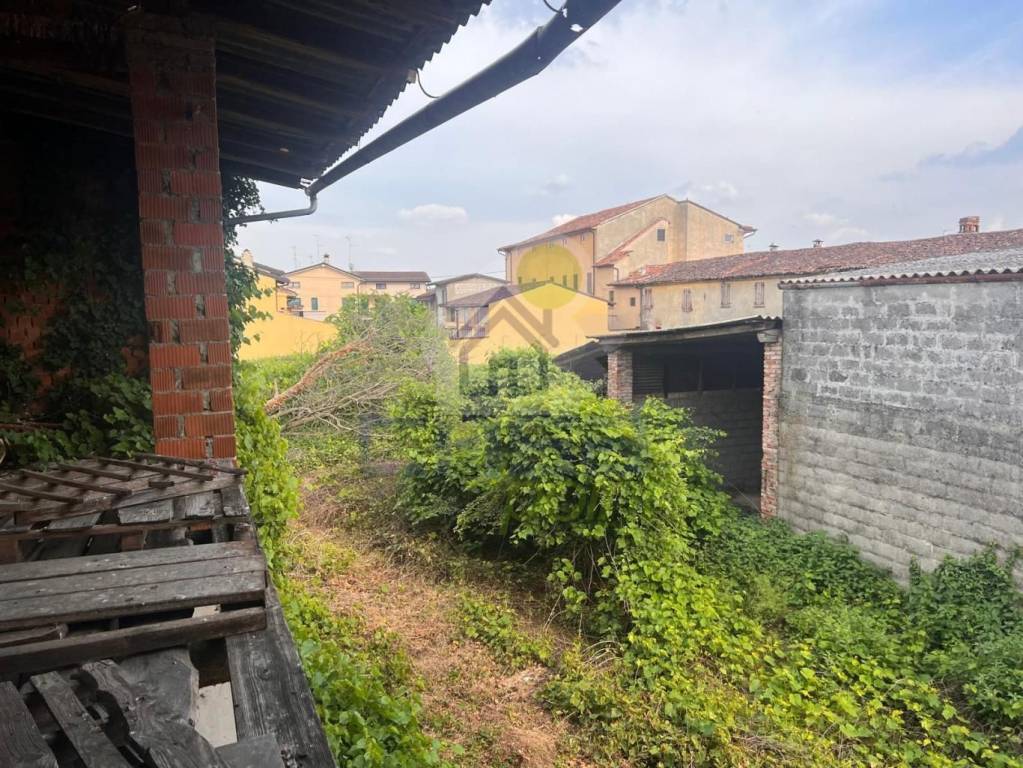 immagine annuncio 11 di 12