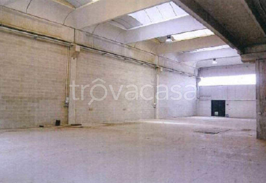 immagine annuncio 5 di 6