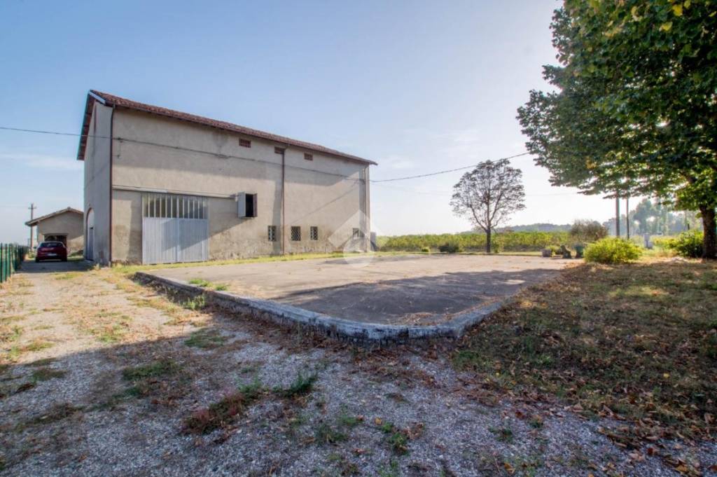 immagine annuncio 2 di 12