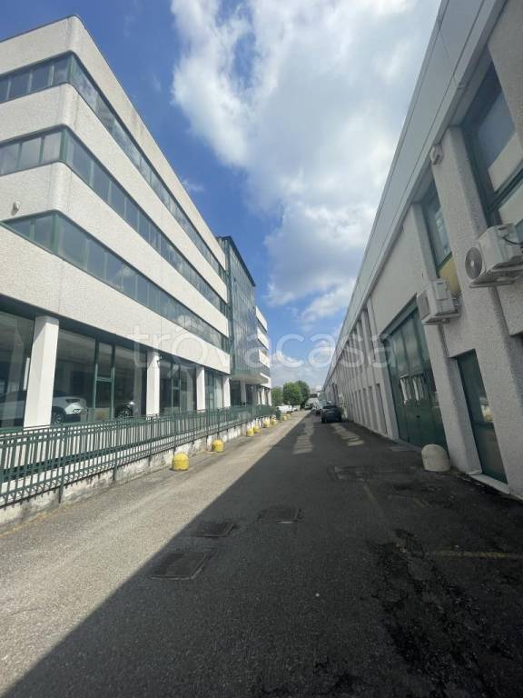 immagine annuncio 1 di 11