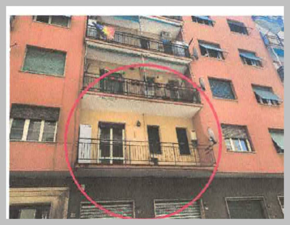 immagine annuncio 12 di 15
