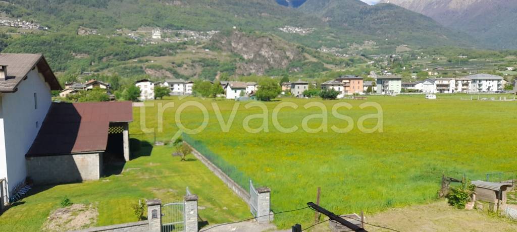 immagine annuncio 5 di 14
