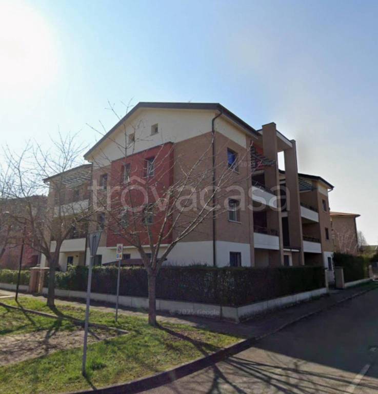 immagine annuncio 2 di 11