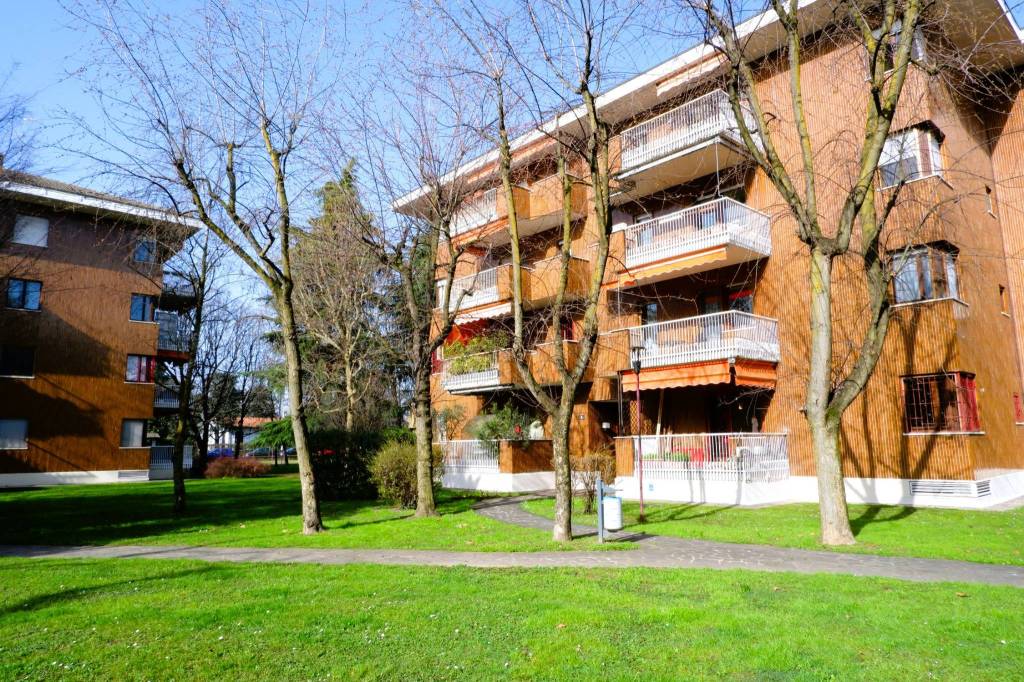 immagine annuncio 2 di 15