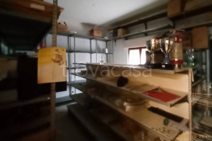immagine annuncio 9 di 14