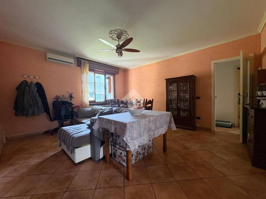 immagine annuncio 2 di 12