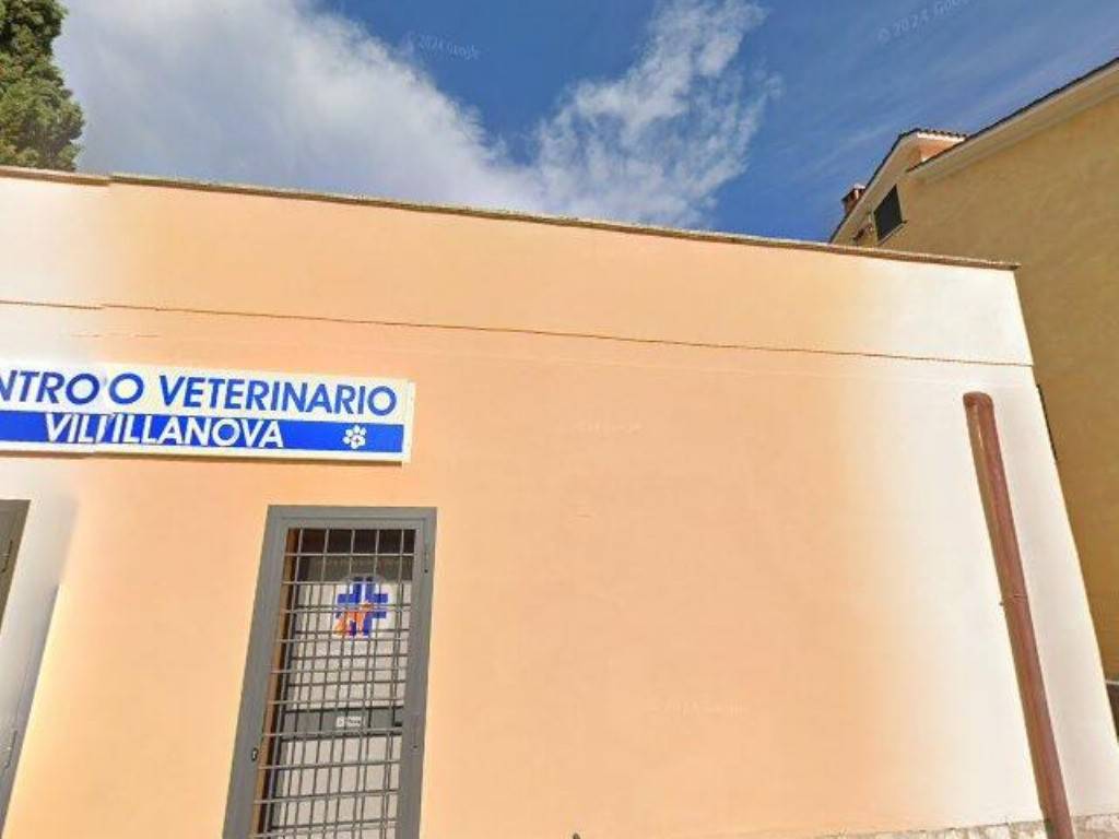 immagine annuncio 3 di 4