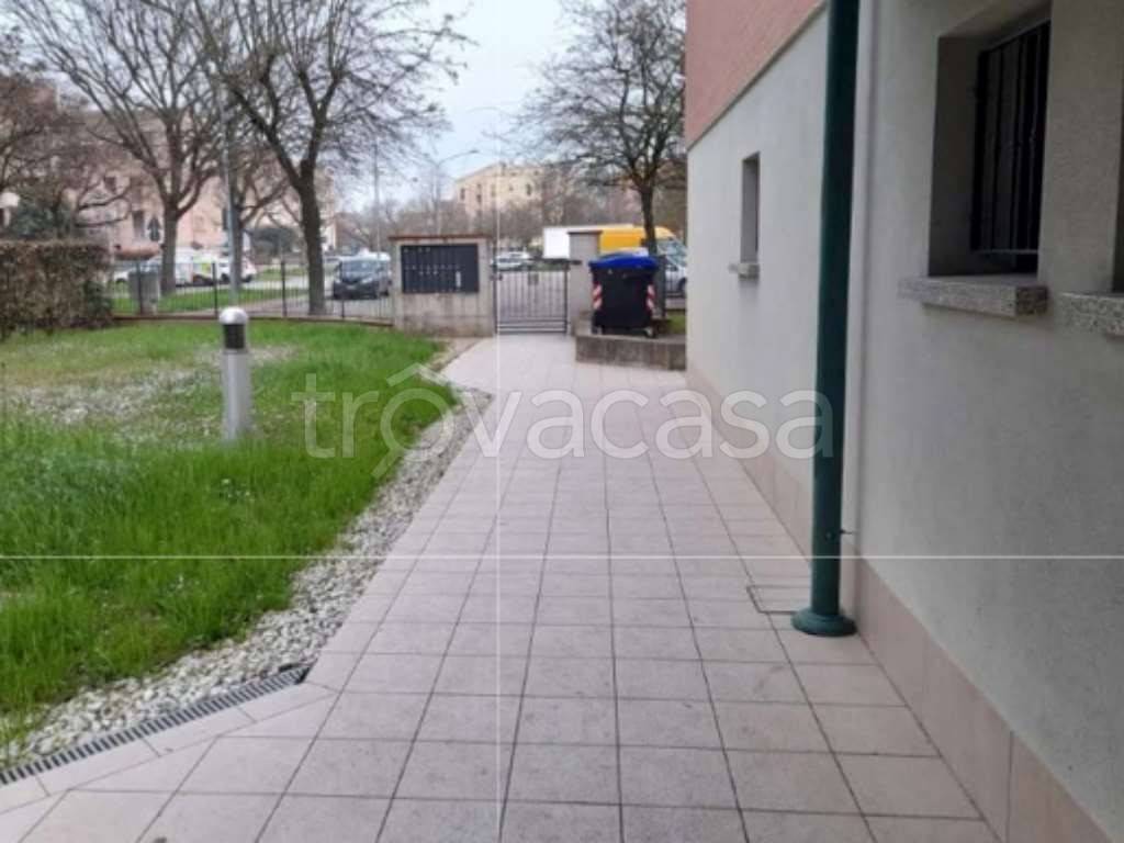 immagine annuncio 3 di 14