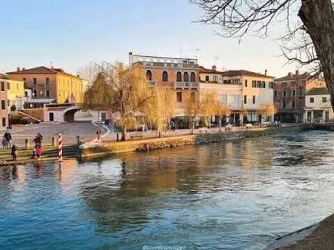 immagine annuncio 5 di 14