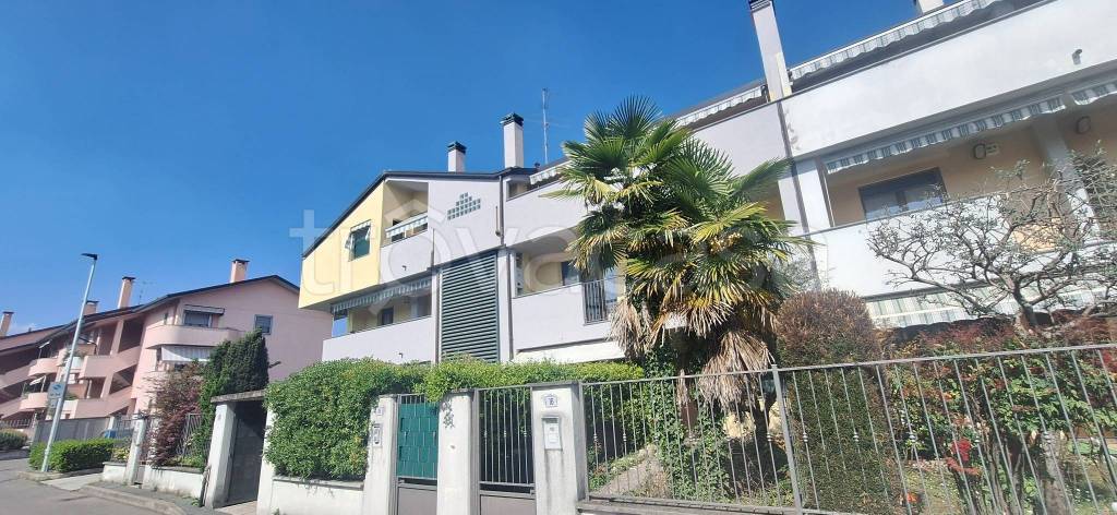 immagine annuncio 2 di 15