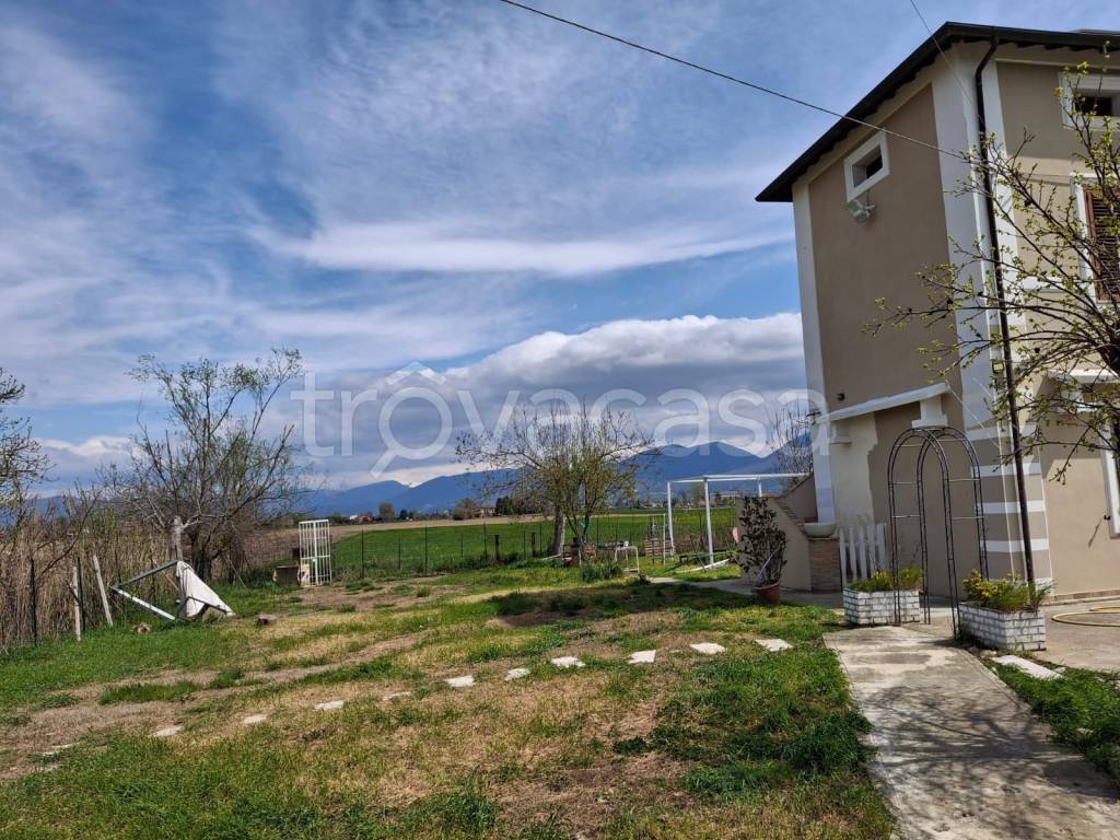 immagine annuncio 3 di 11