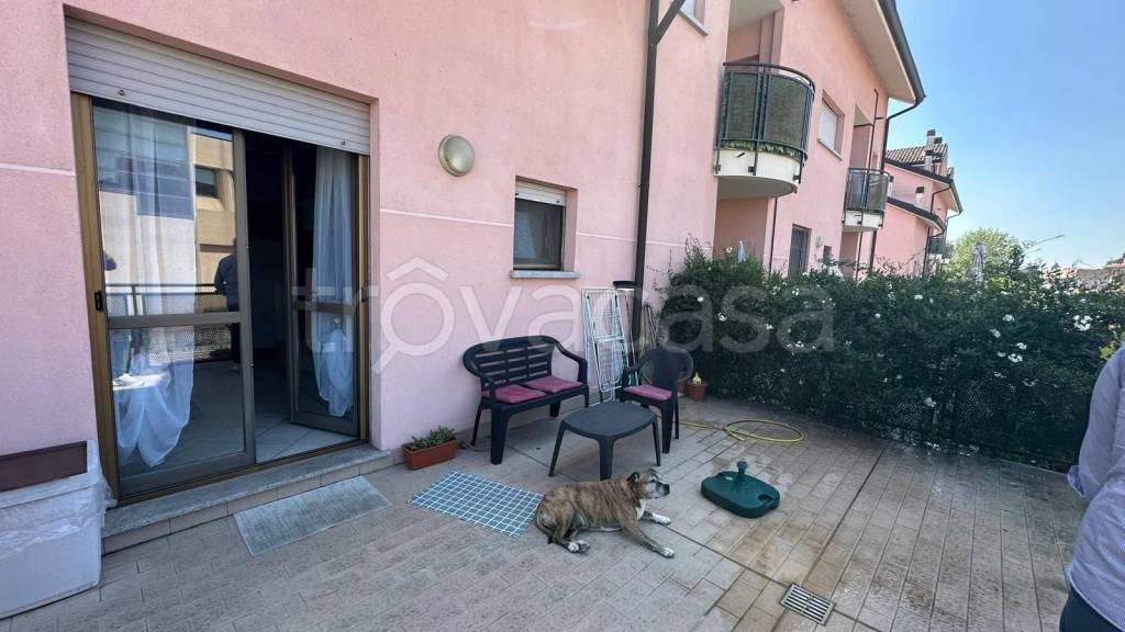 immagine annuncio 13 di 15