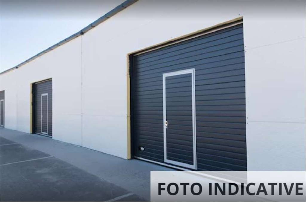 immagine annuncio 4 di 12