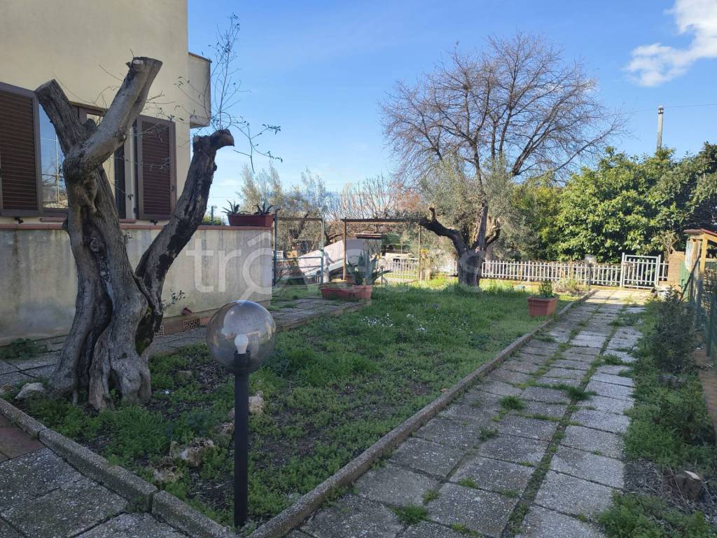 immagine annuncio 1 di 7